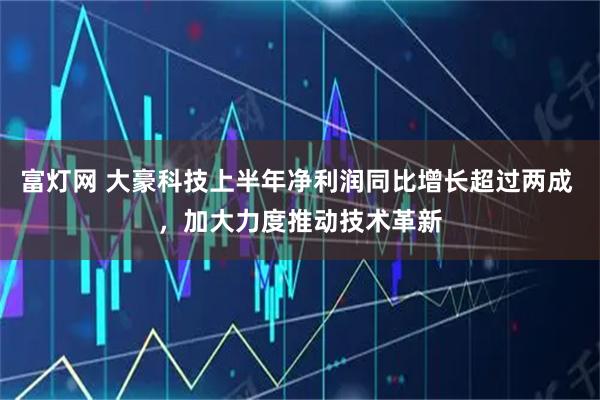 富灯网 大豪科技上半年净利润同比增长超过两成 ,加大力度推动技术革新