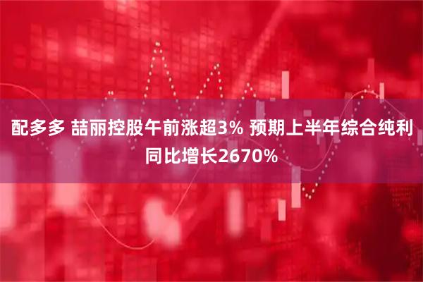 配多多 喆丽控股午前涨超3% 预期上半年综合纯利同比增长2670%