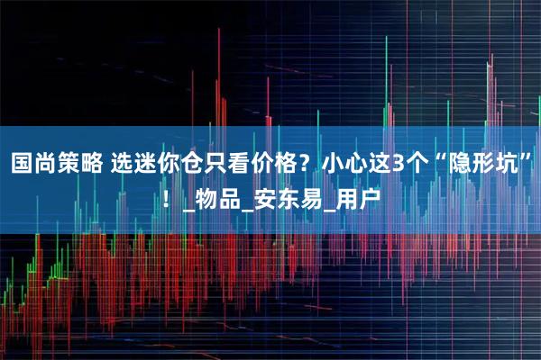 国尚策略 选迷你仓只看价格？小心这3个“隐形坑”！_物品_安东易_用户