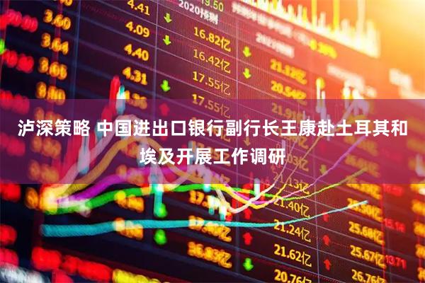 泸深策略 中国进出口银行副行长王康赴土耳其和埃及开展工作调研