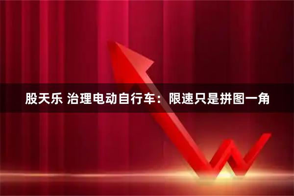 股天乐 治理电动自行车：限速只是拼图一角