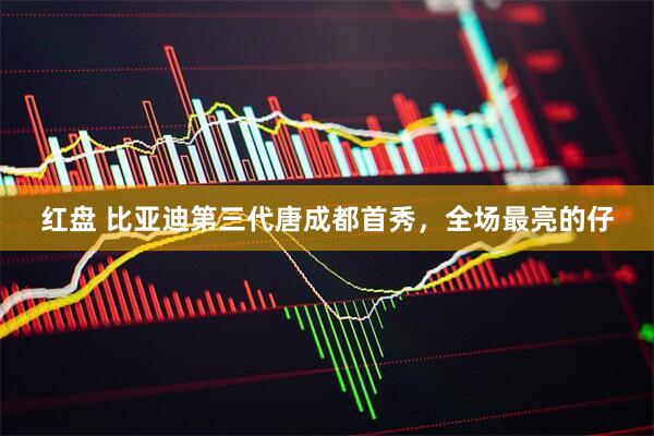 红盘 比亚迪第三代唐成都首秀，全场最亮的仔